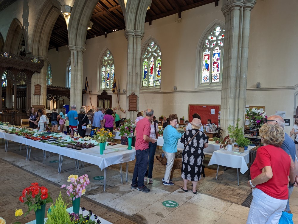 Plenty of visitors enjoying the show