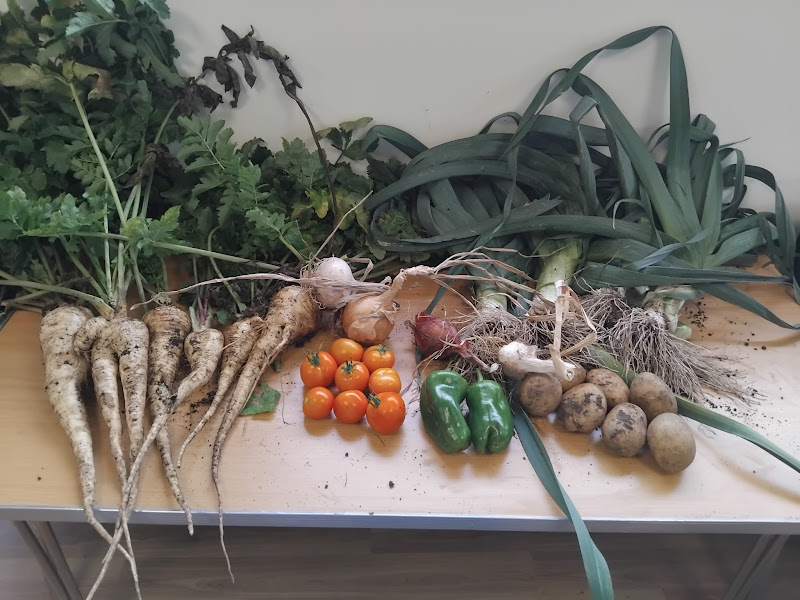 A table covered in newly harvested vegetables